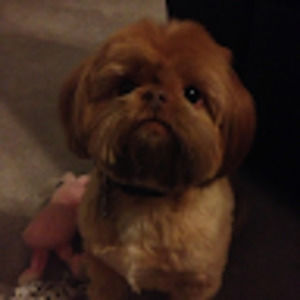 Meet your Posher, M.